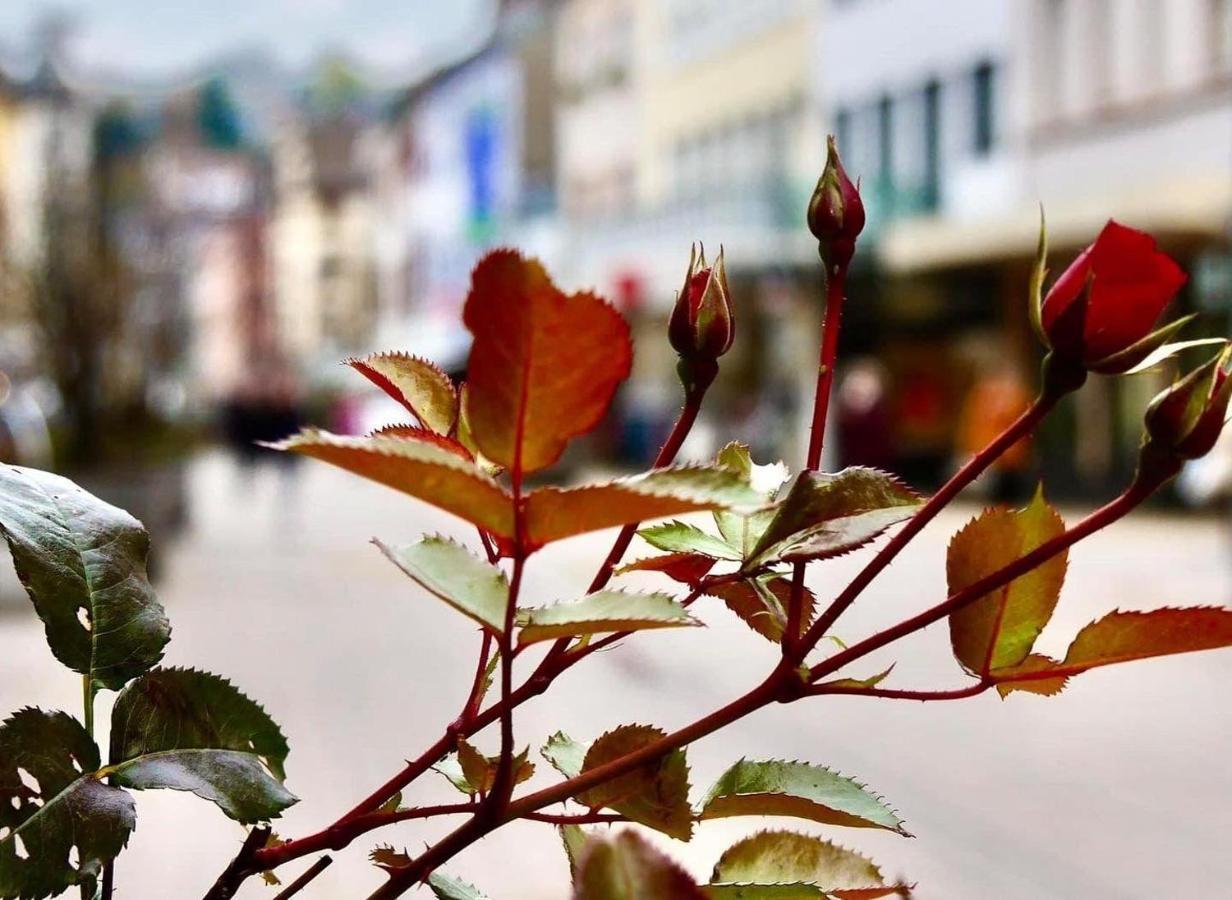 Das-Lagerhaus-Kleine-Oase Apartamento Zweibrücken Exterior foto